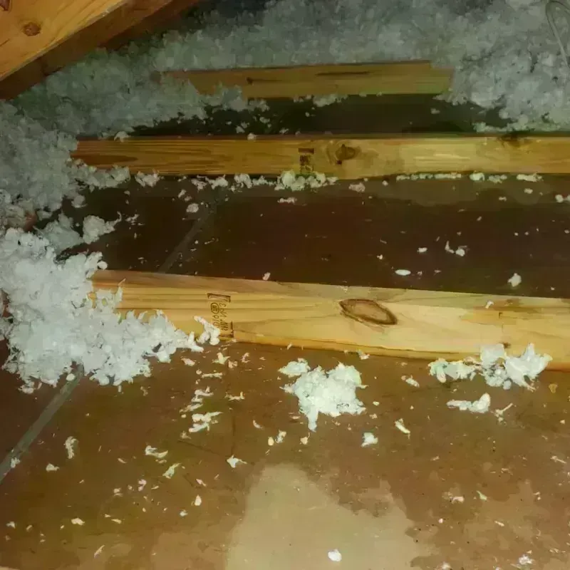 Attic Water Damage in Odon, IN